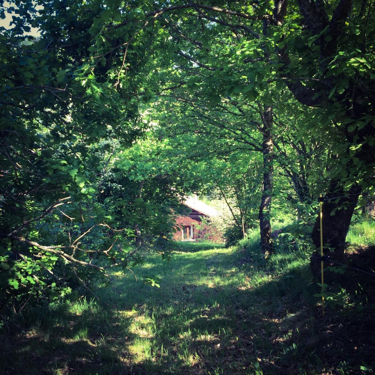 Silver Trees - Glamping Fresse-sur-Moselle 外观 照片