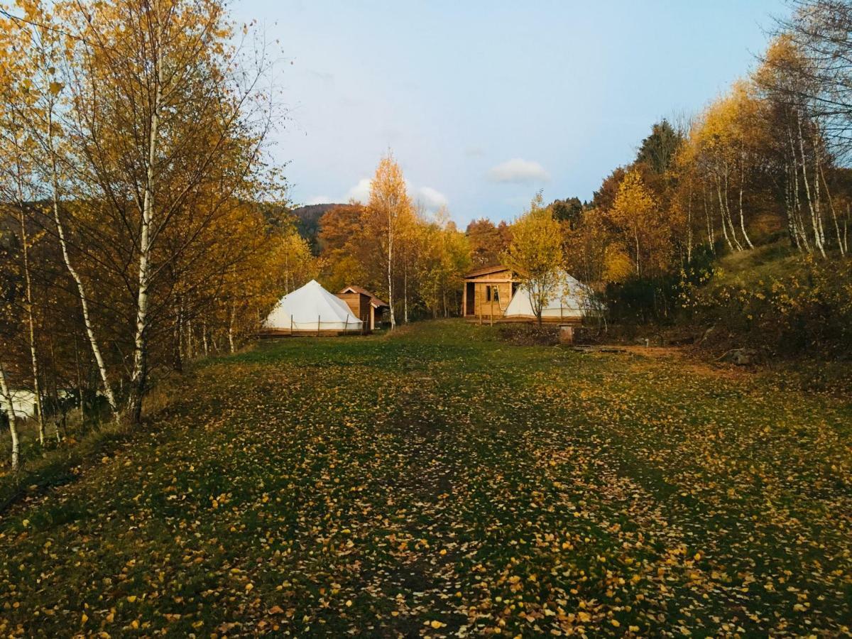 Silver Trees - Glamping Fresse-sur-Moselle 外观 照片